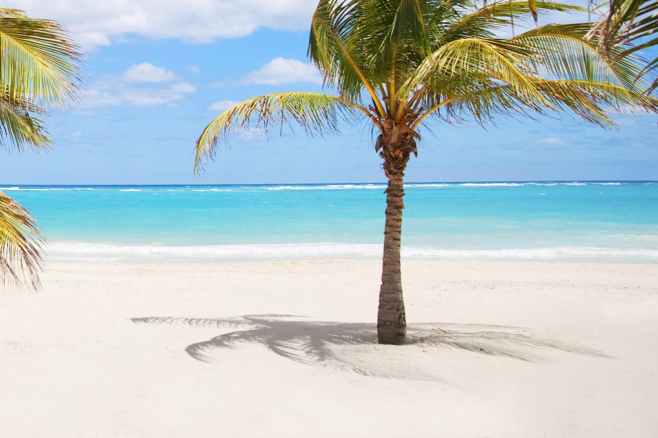 Karibo Punta Cana